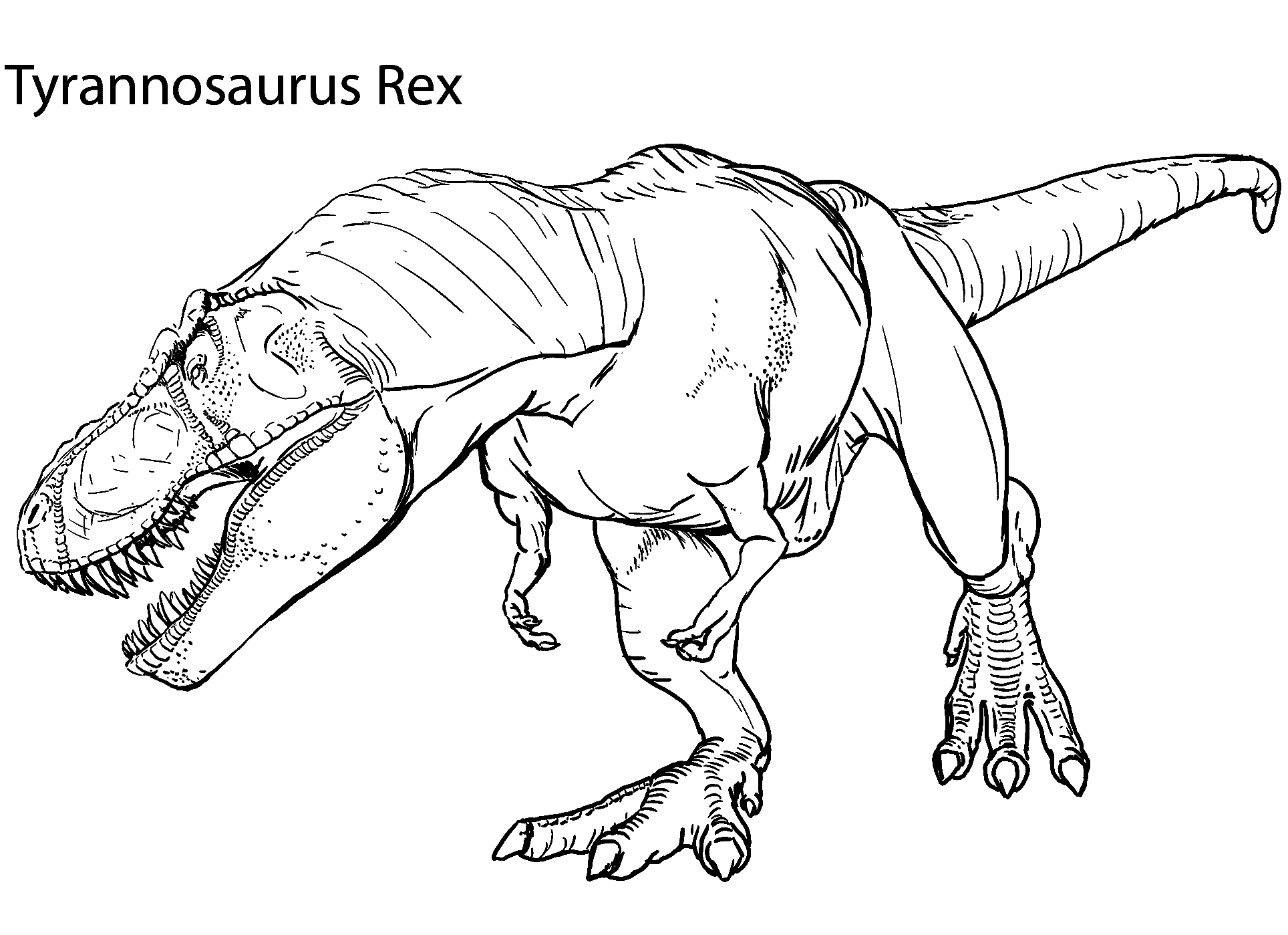 Tyrannosaurus Rex Coloring Page Free Printable Coloring Pages