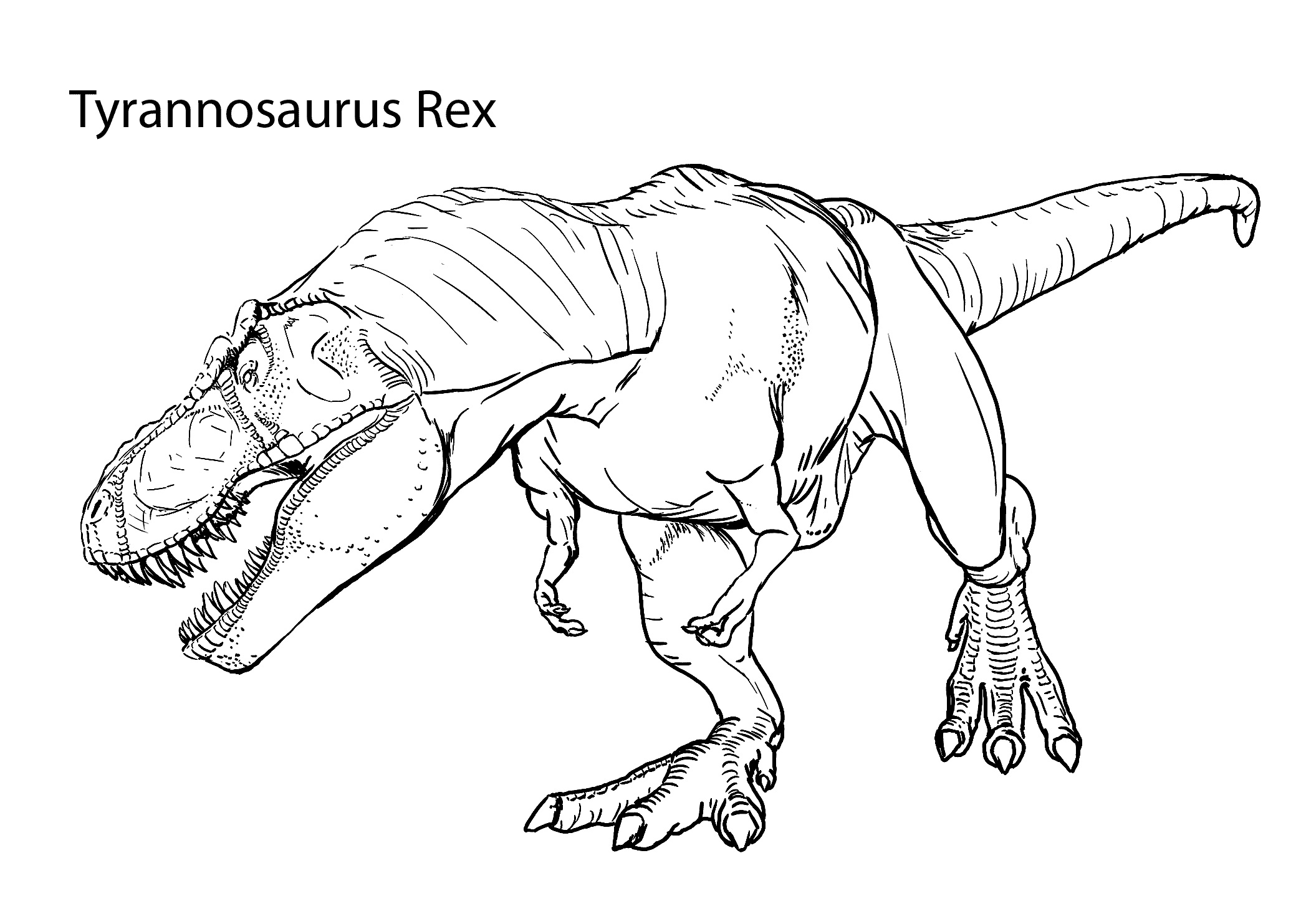 Tyrannosaurus Rex Coloring Pages Dinosaurs Coloring Pages Coloring 