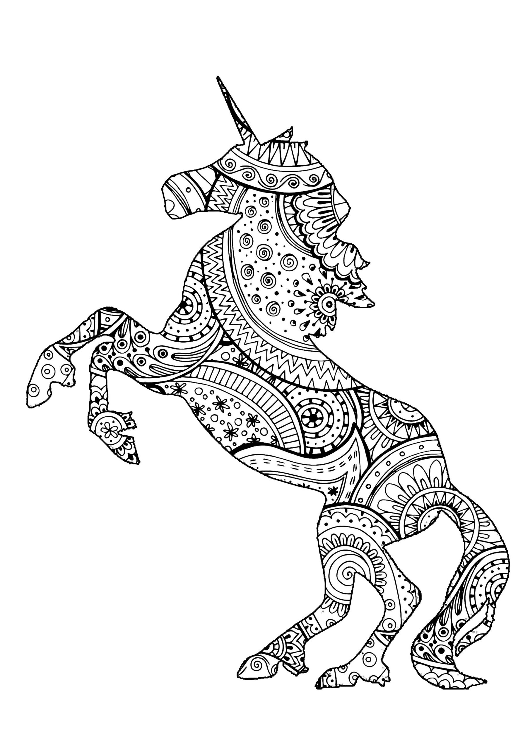 Unicorn Coloring Pages Adults Riloits