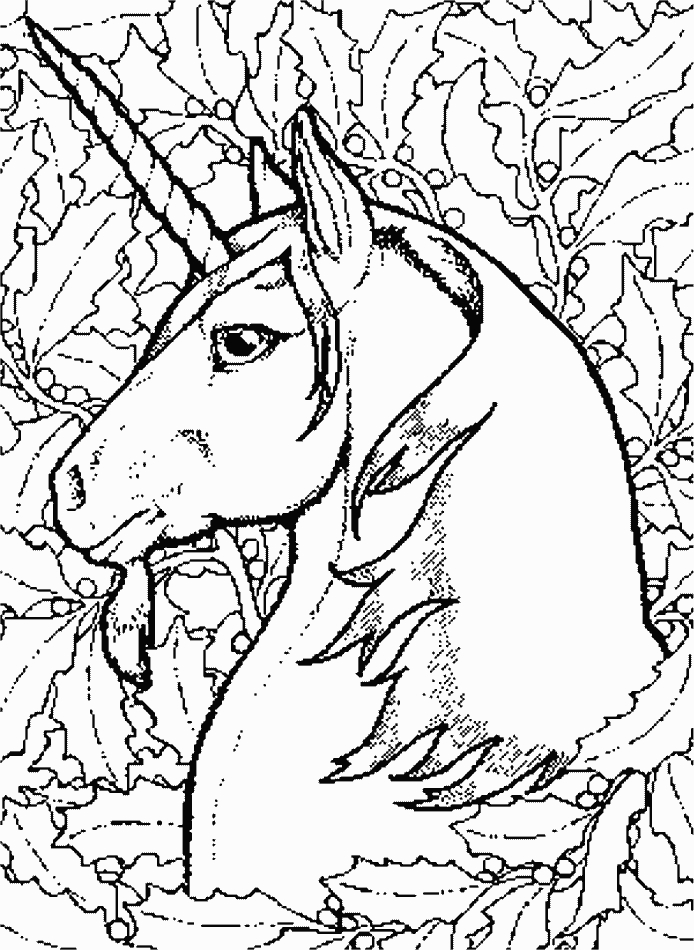 Unicorns 9 Fantasy Coloring Pages Coloring Page Book