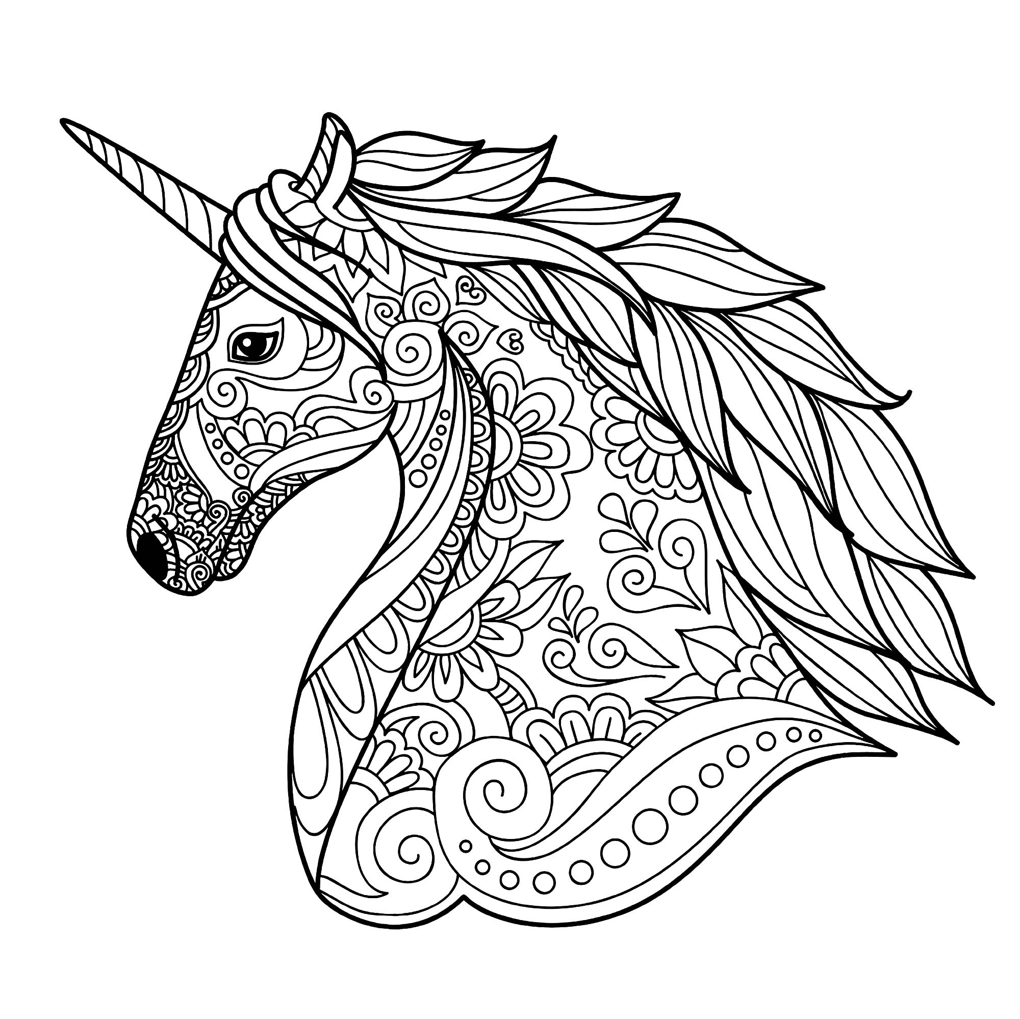 Unicorns Coloring Pages Learny Kids