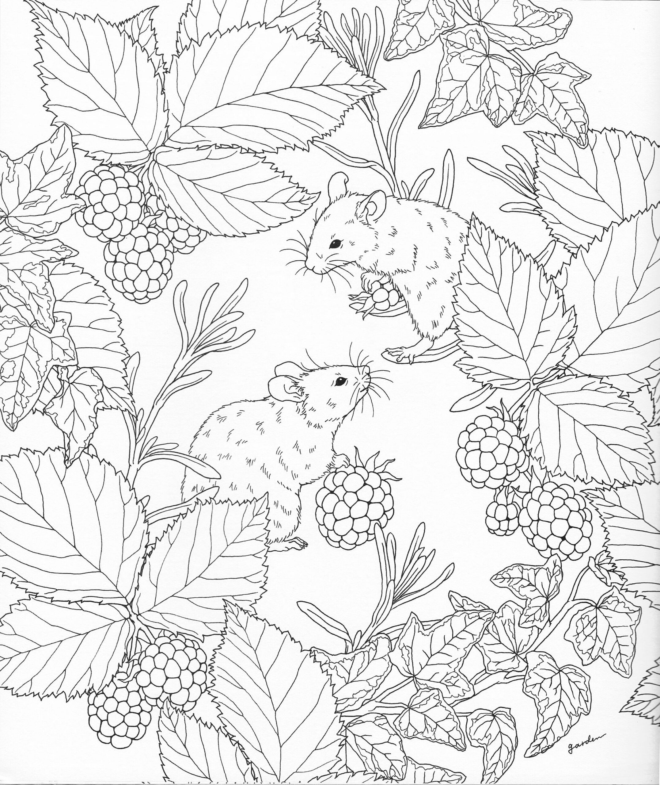 Unlock The Benefits Of Free Nature Coloring Pages For Adults Love 