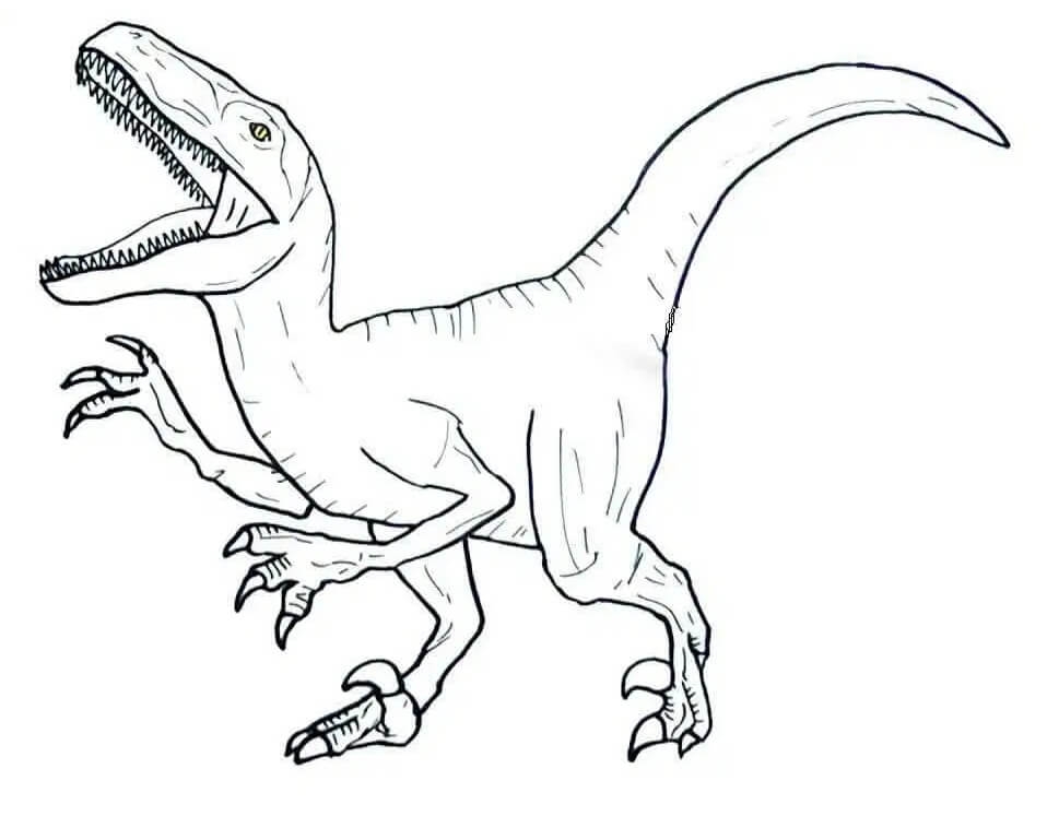 Velociraptor 7 Coloring Page Free Printable Coloring Pages For Kids