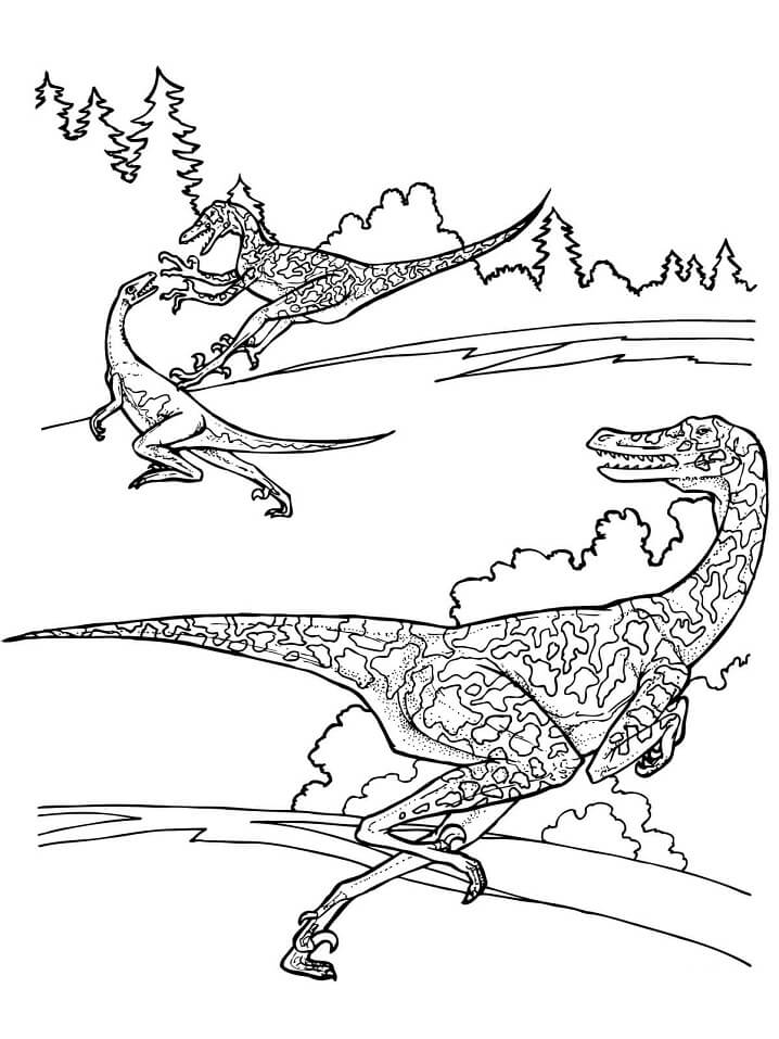 Velociraptor Dinosaurs Coloring Page Free Printable Coloring Pages 