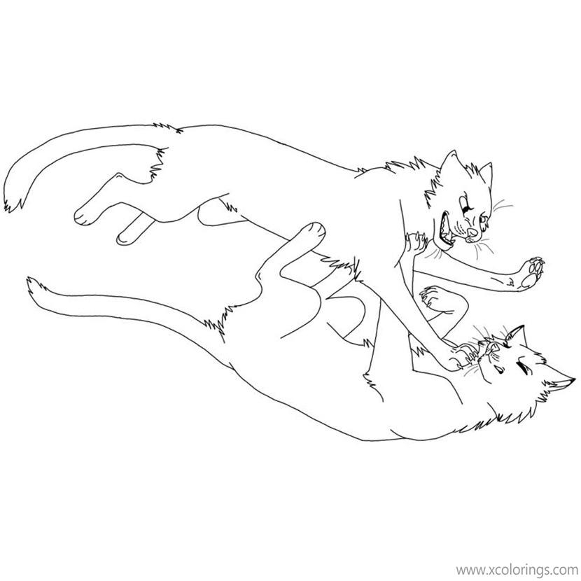 Warrior Cat Coloring Pages Two Cats Fighting XColorings