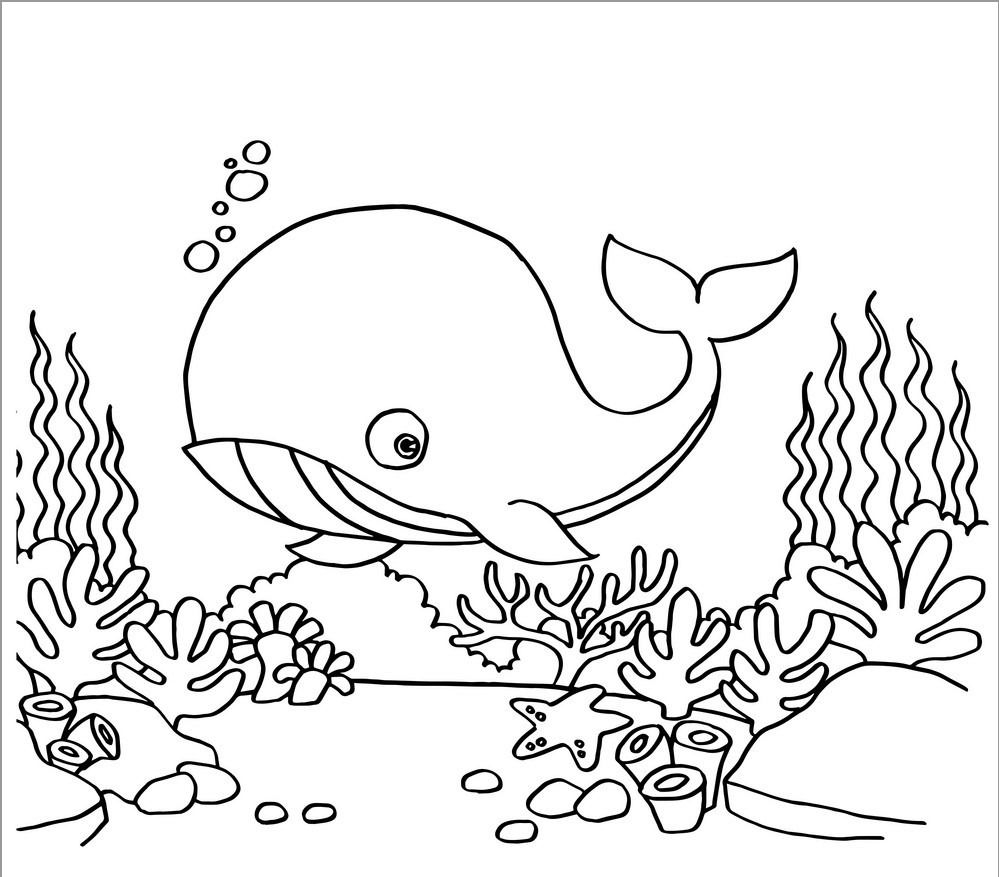 Whale Coloring Pages ColoringBay