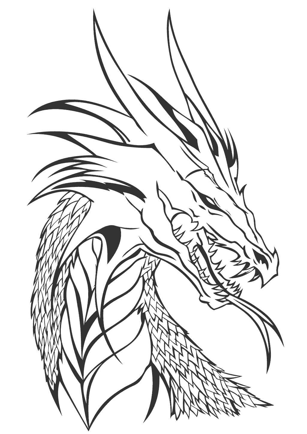 Wings Of Fire Coloring Pages Icewing Images Free Printable Coloring Pages