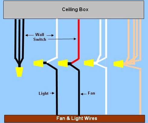 Wiring Diagram Of Ceiling Fan With Light Wiring Digital And Schematic