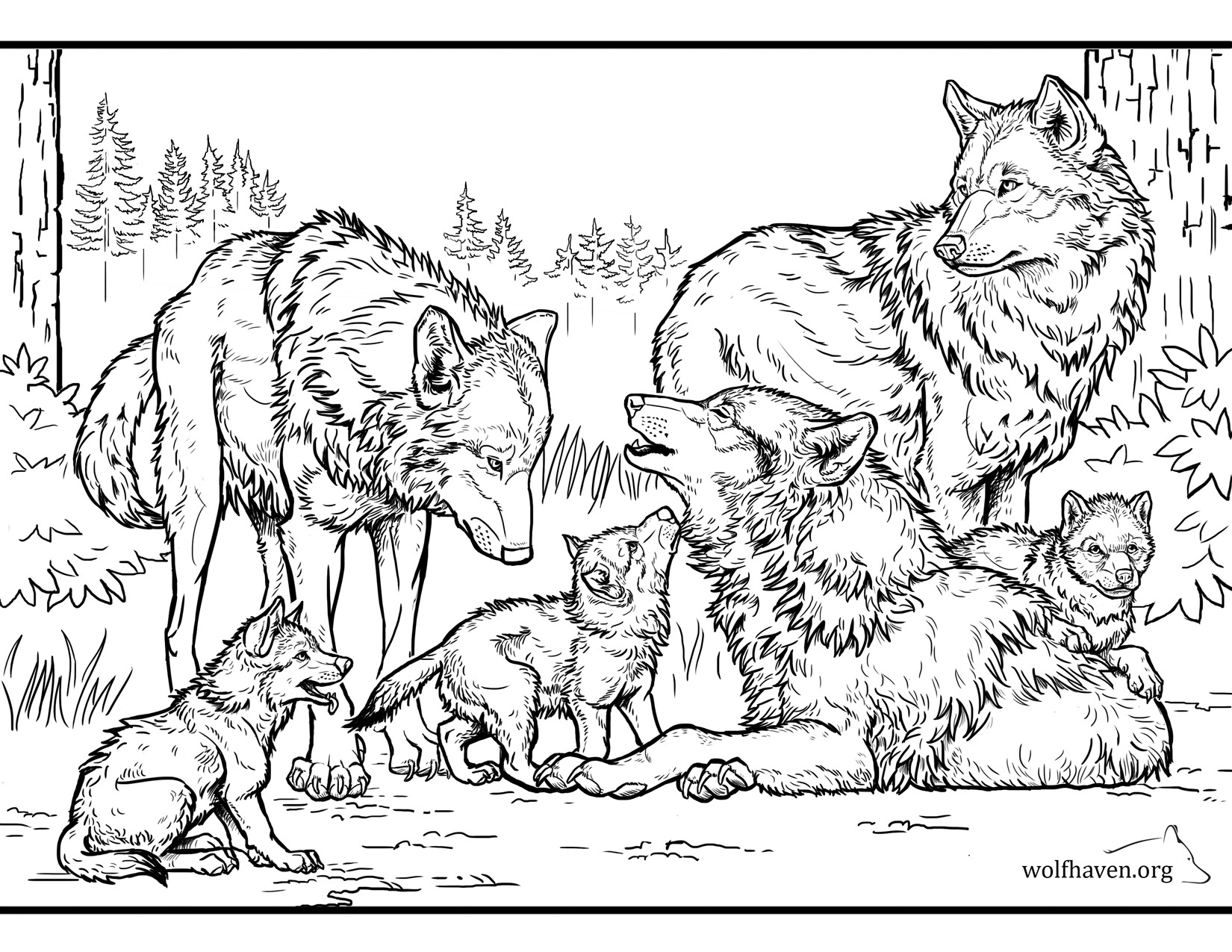 Wolf Coloring Page Ultra Coloring Pages My XXX Hot Girl