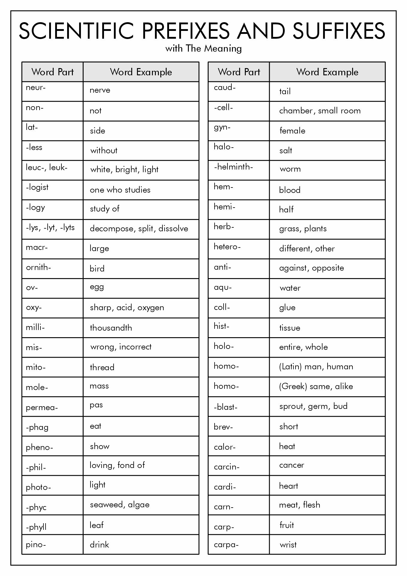 Words Prefix Suffix Worksheets Prefix 39 pre 39 Matching And Worksheets And