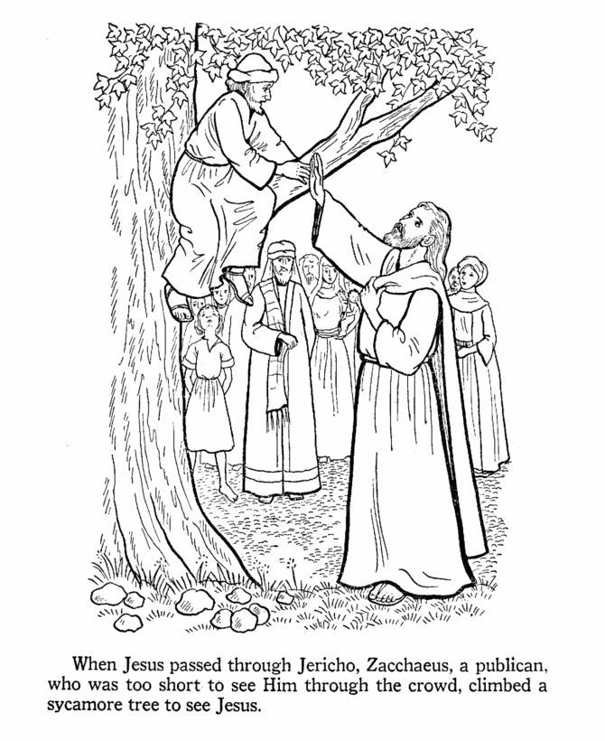 Zacchaeus Coloring Page Printable Coloring Home