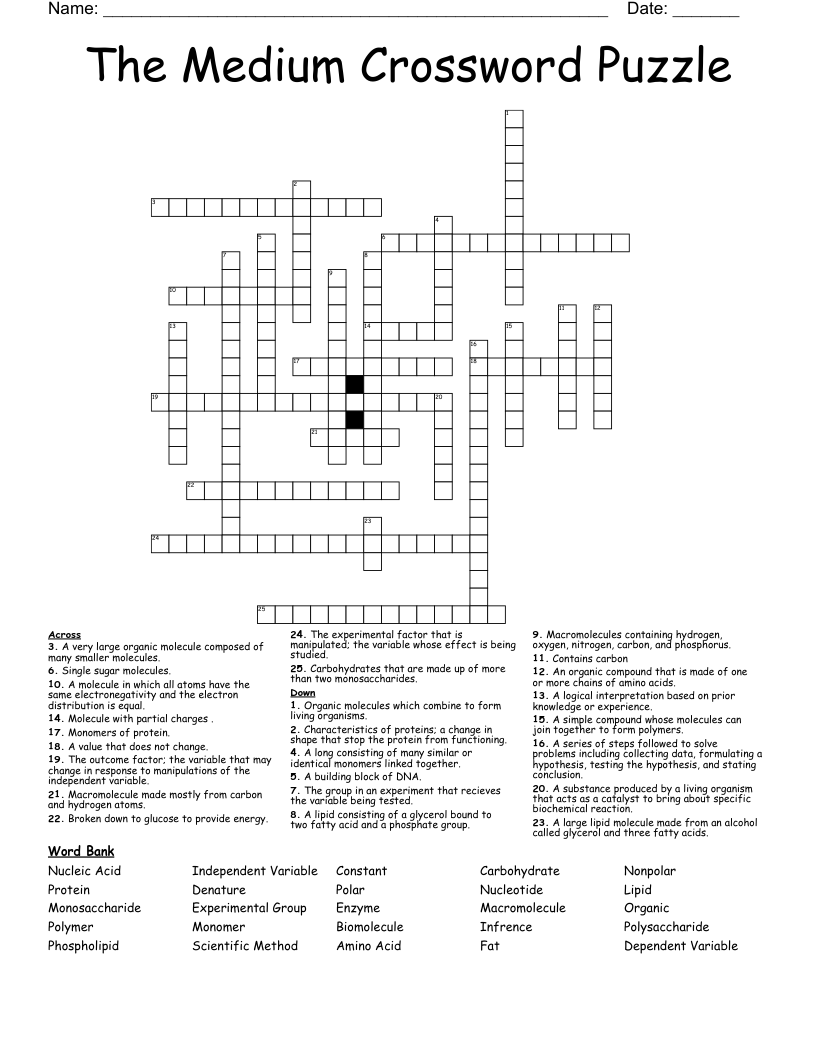 Medium Level Crossword Puzzles Printable