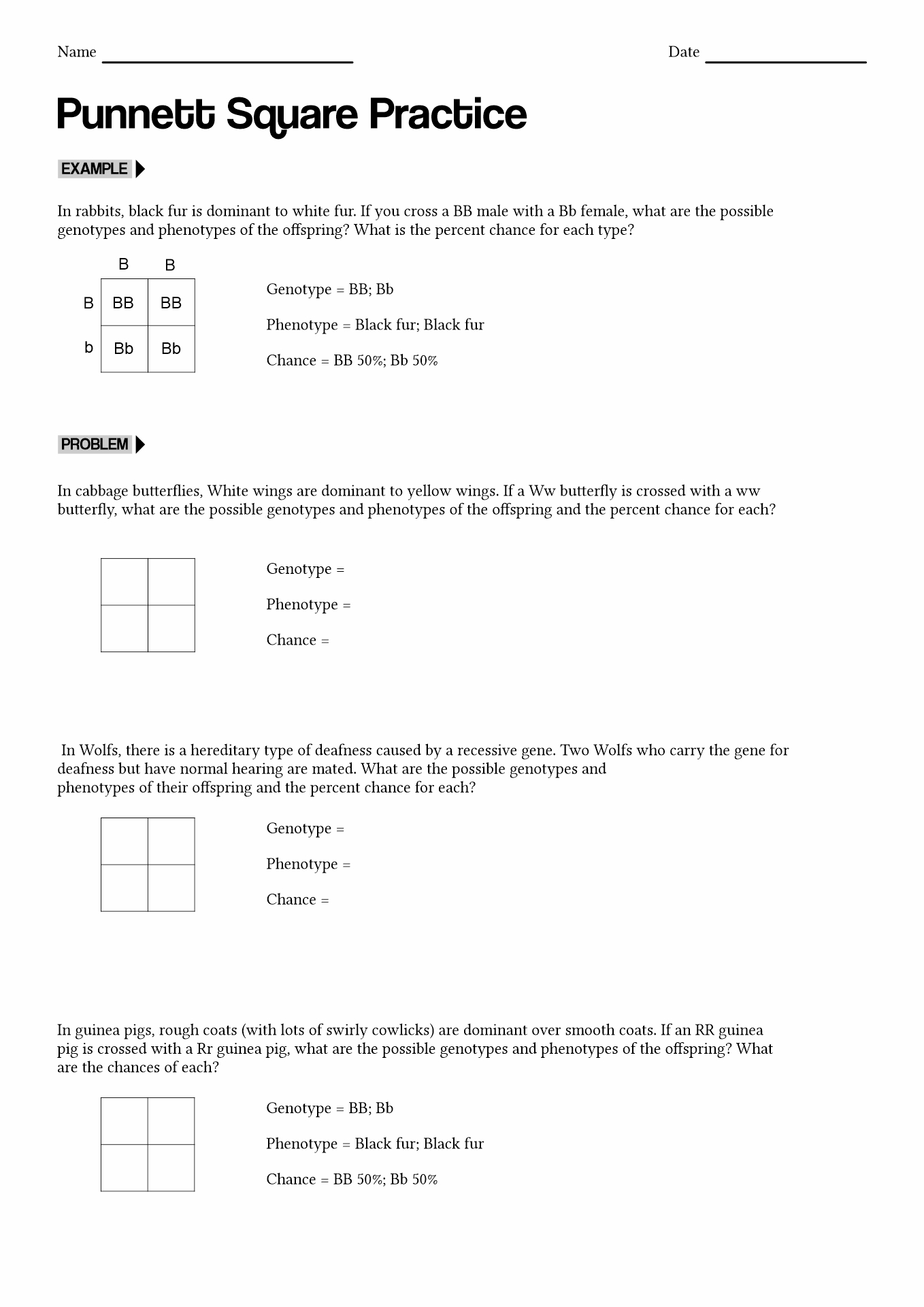 15 Punnett Square Worksheet Answer Key Free PDF At Worksheeto