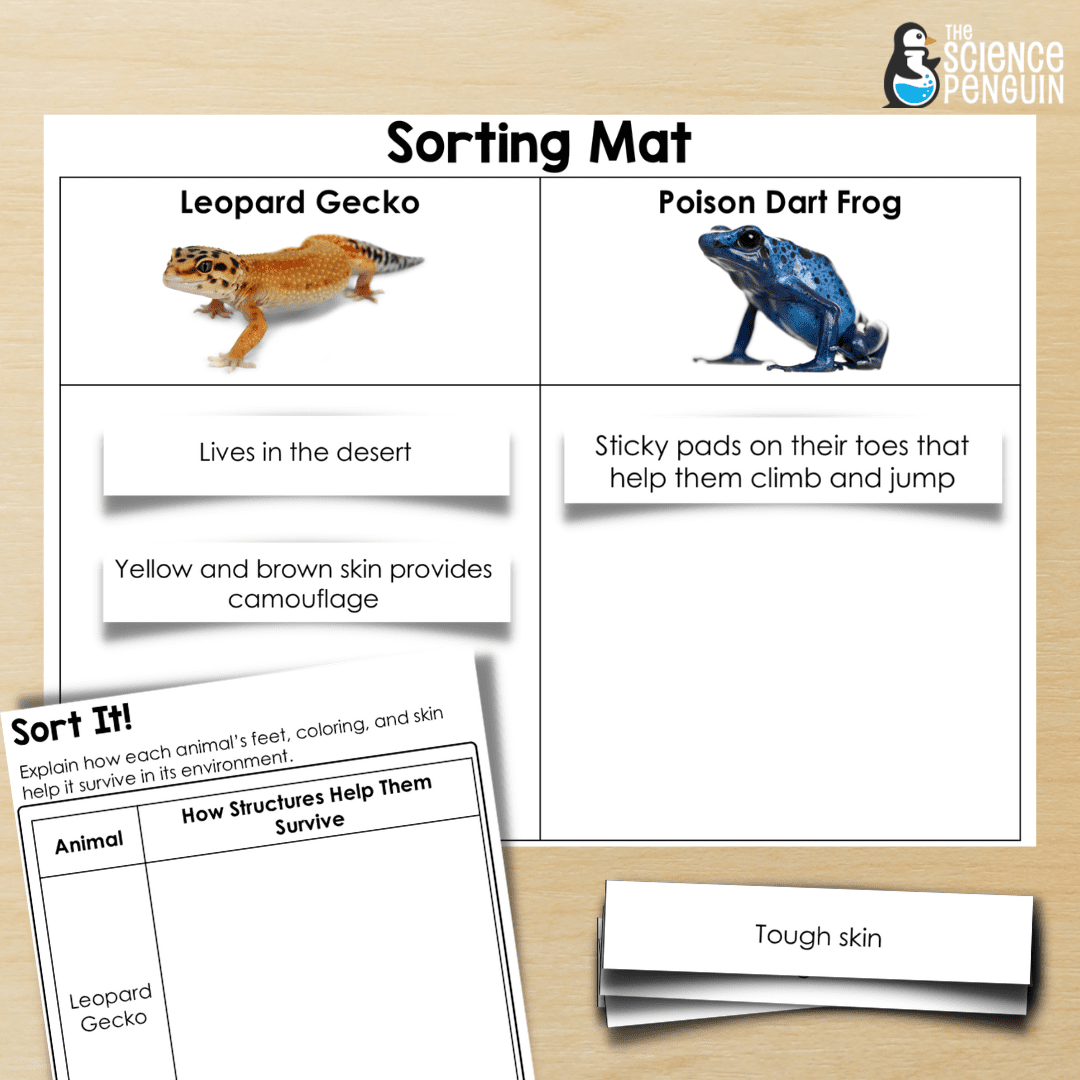 Adaptations Worksheets For Kids Worksheets For Kindergarten