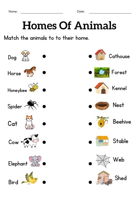 Animal Homes Worksheet Worksheets Library