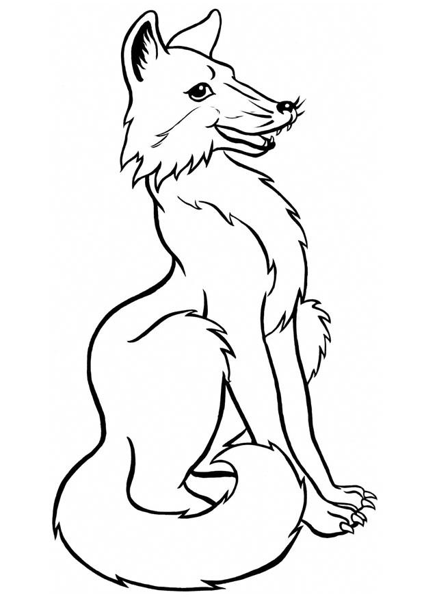 Arctic Fox Coloring Pages Coloring Home