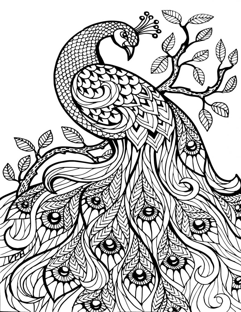 Awesome Adult Coloring Pages At GetDrawings Free Download
