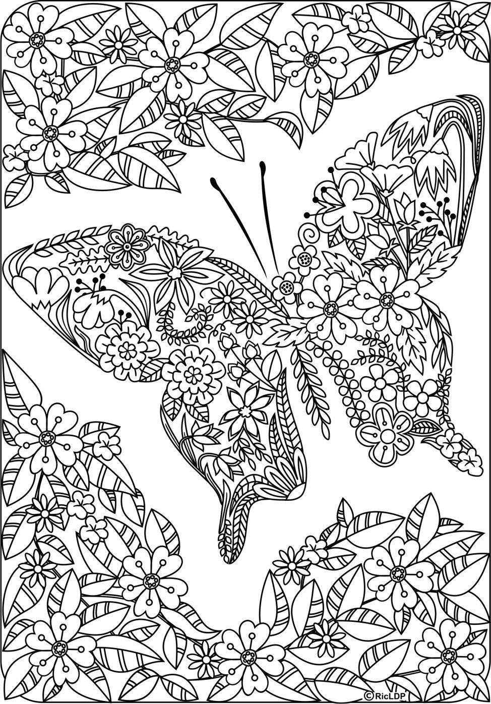 Butterfly Coloring Book AdultcoloringbookZ