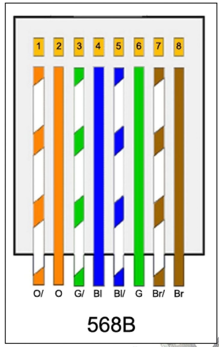 Cat5E Wiring Diagram Pdf Wiring Diagram Cat 5E Wiring Diagram 