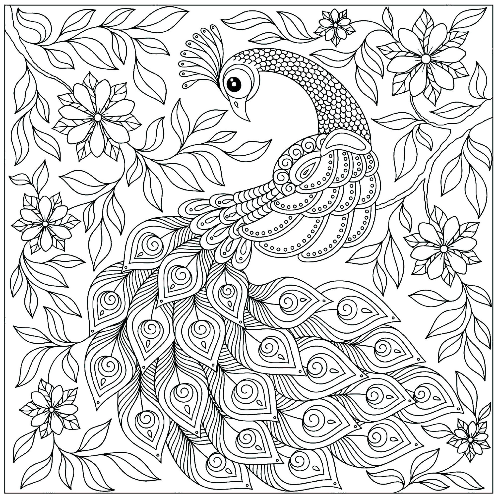 Coloring Sheets