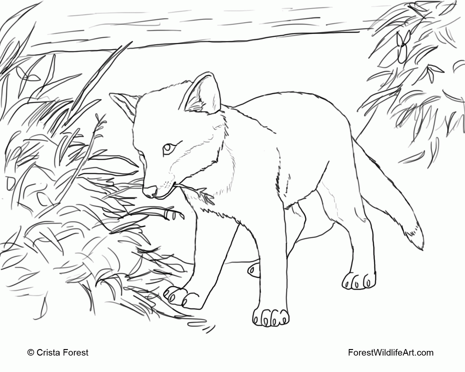 Cute Baby Fox Coloring Pages Coloring Home