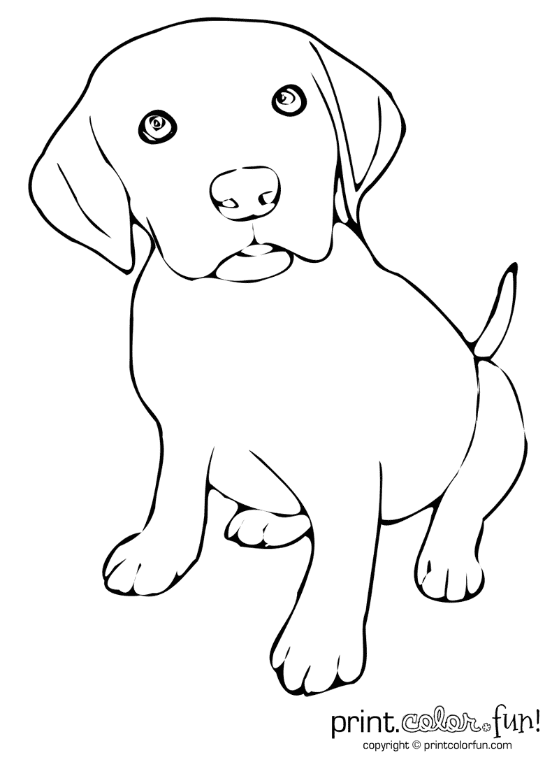 Cute Puppy Coloring Page Print Color Fun