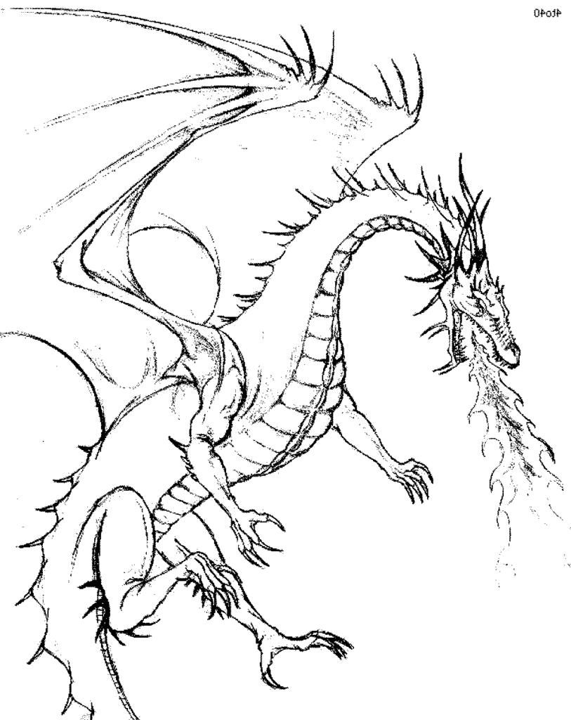 Detailed Dragon Coloring Pages Coloring Home