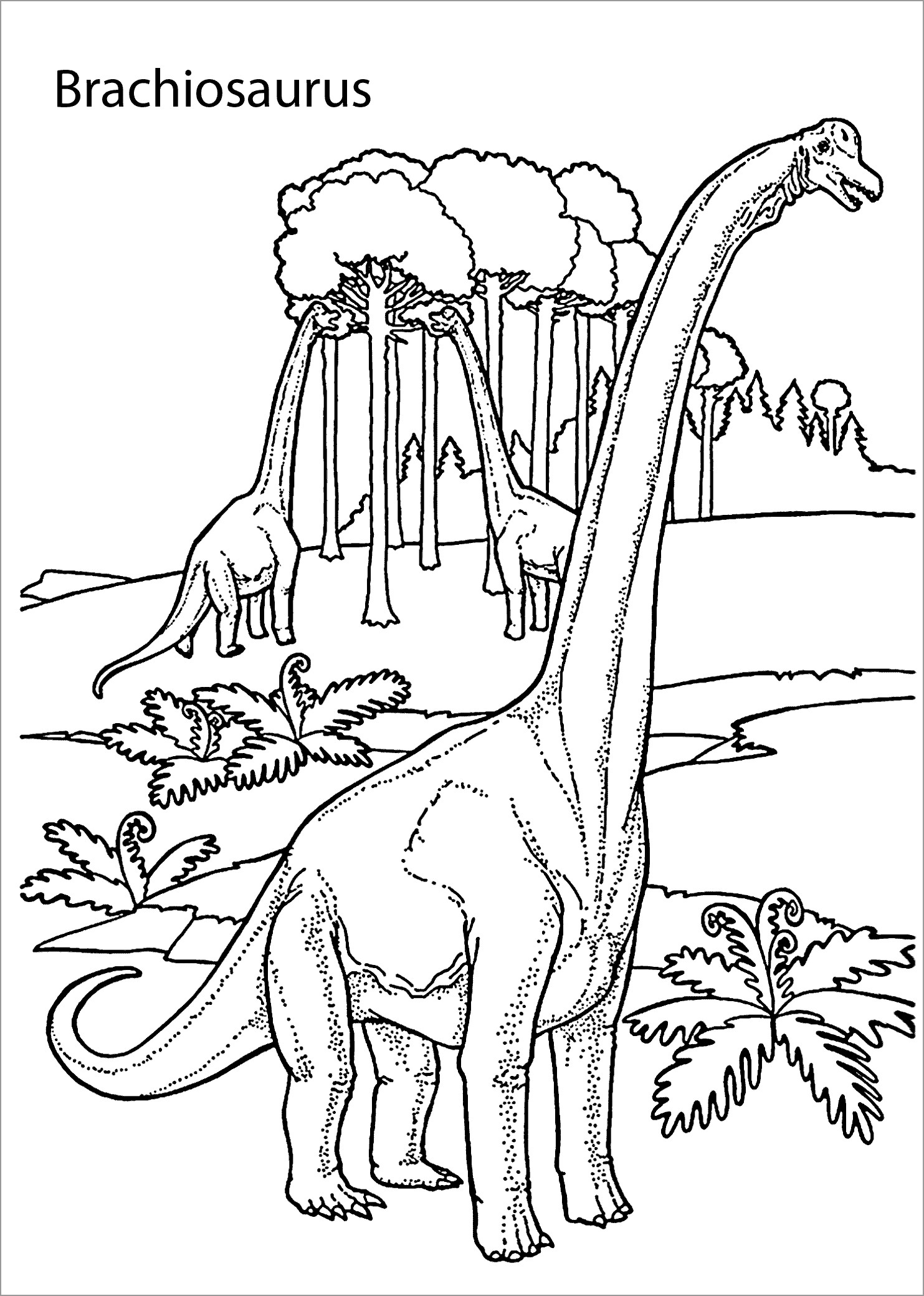 Dinosaurs Coloring Pages ColoringBay