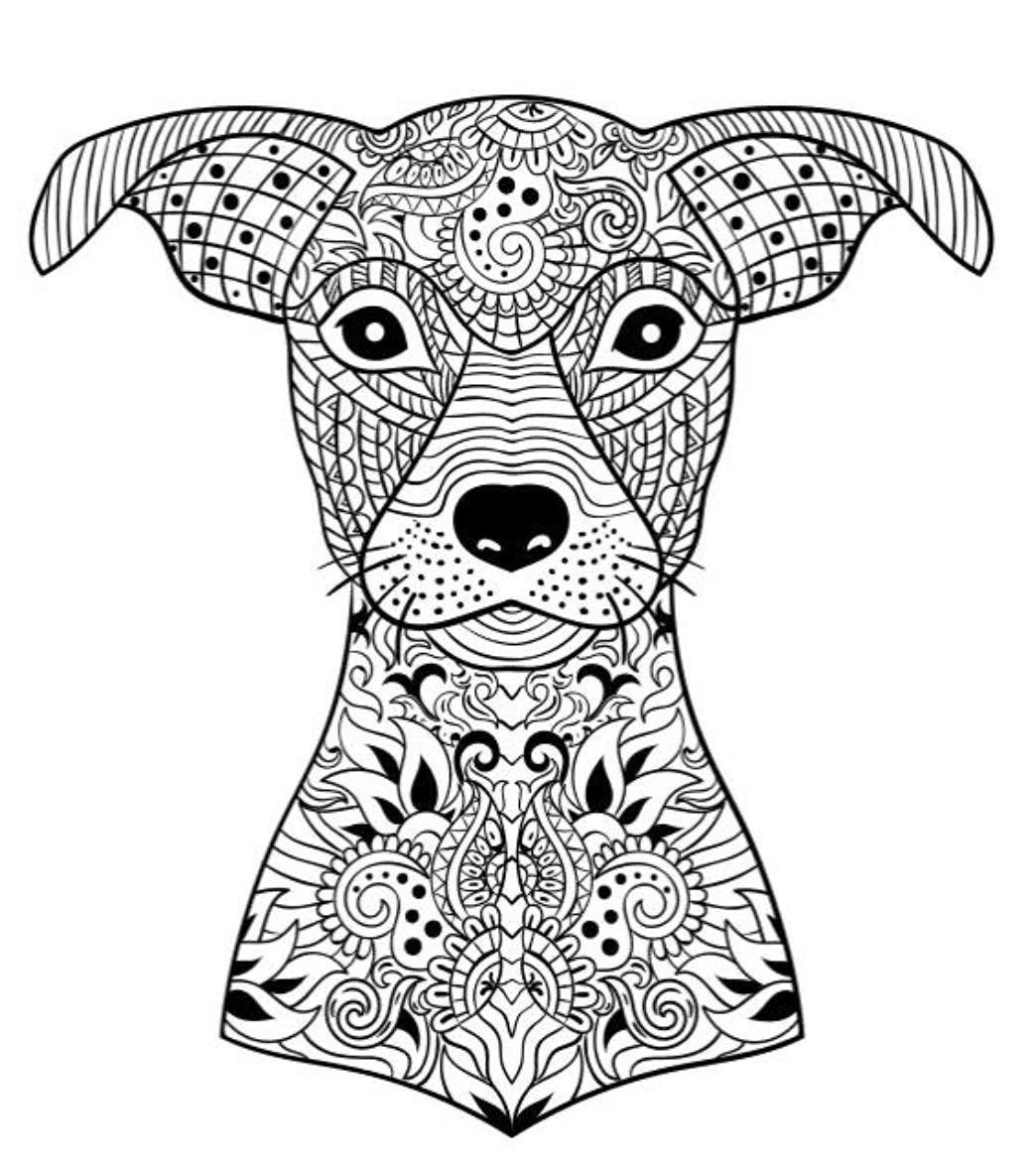 Dog Coloring Book AdultcoloringbookZ