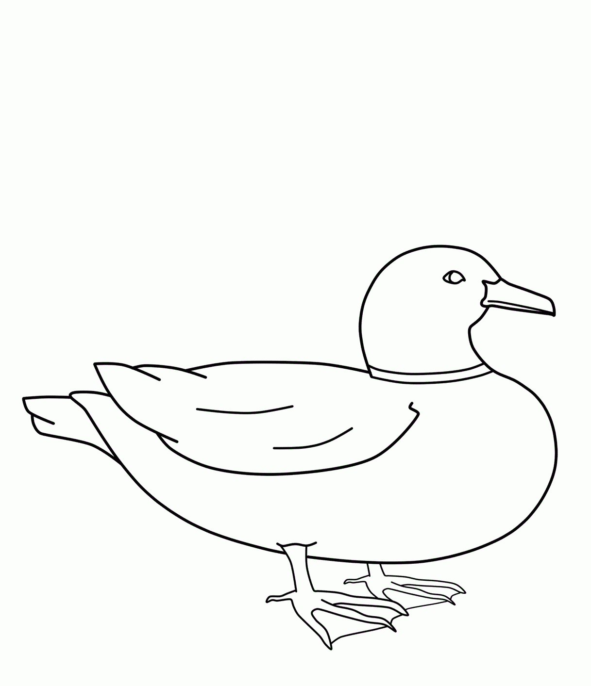 Duck Coloring Pages Best Coloring Pages For Kids
