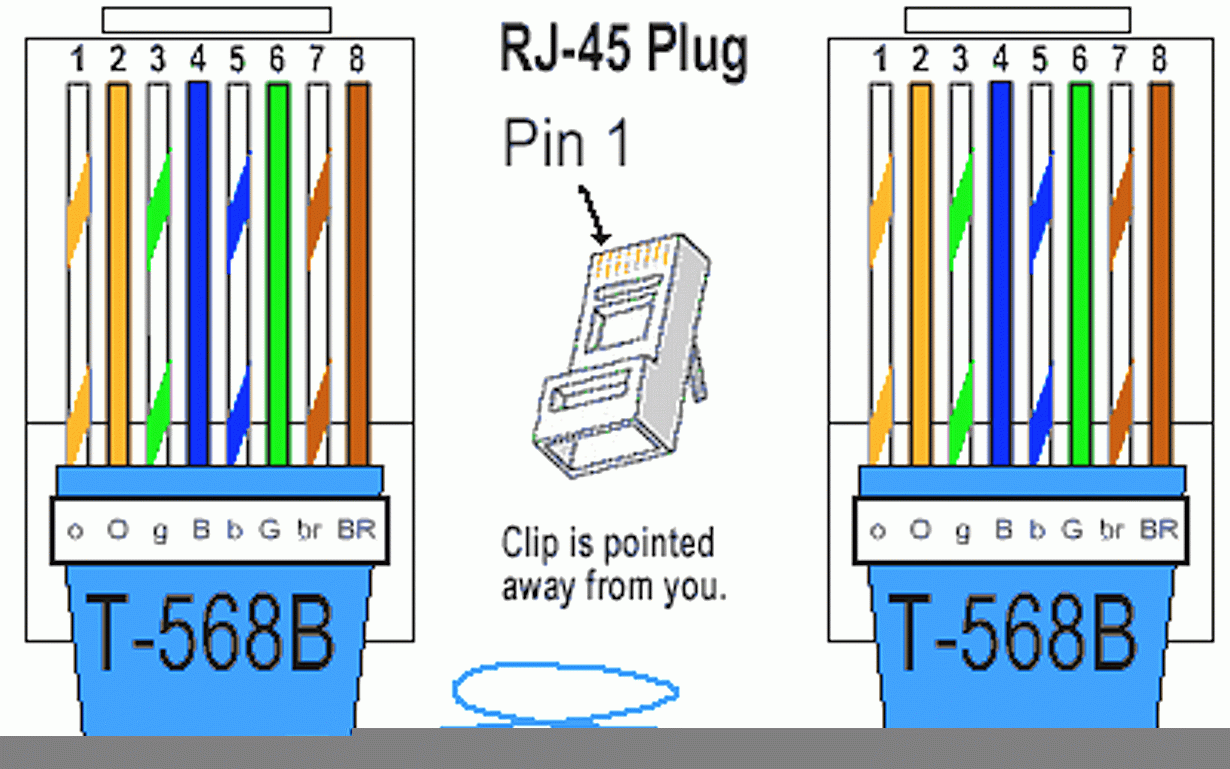 Ethernet Cable Wiring Order