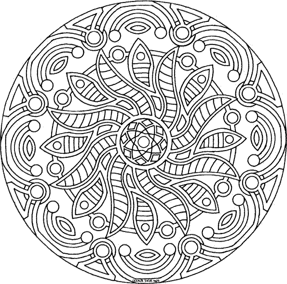 Free Printable Coloring Pages For Adults Advanced Dragons At 