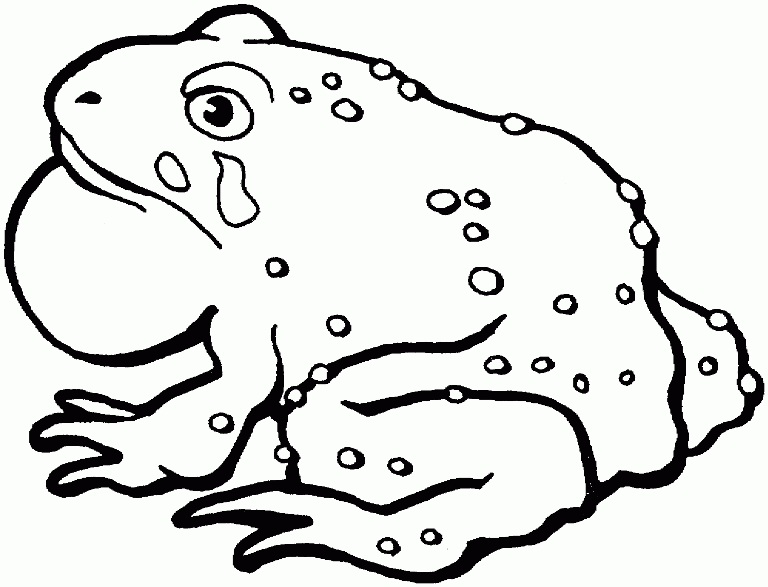 Free Printable Toad Coloring Pages For Kids