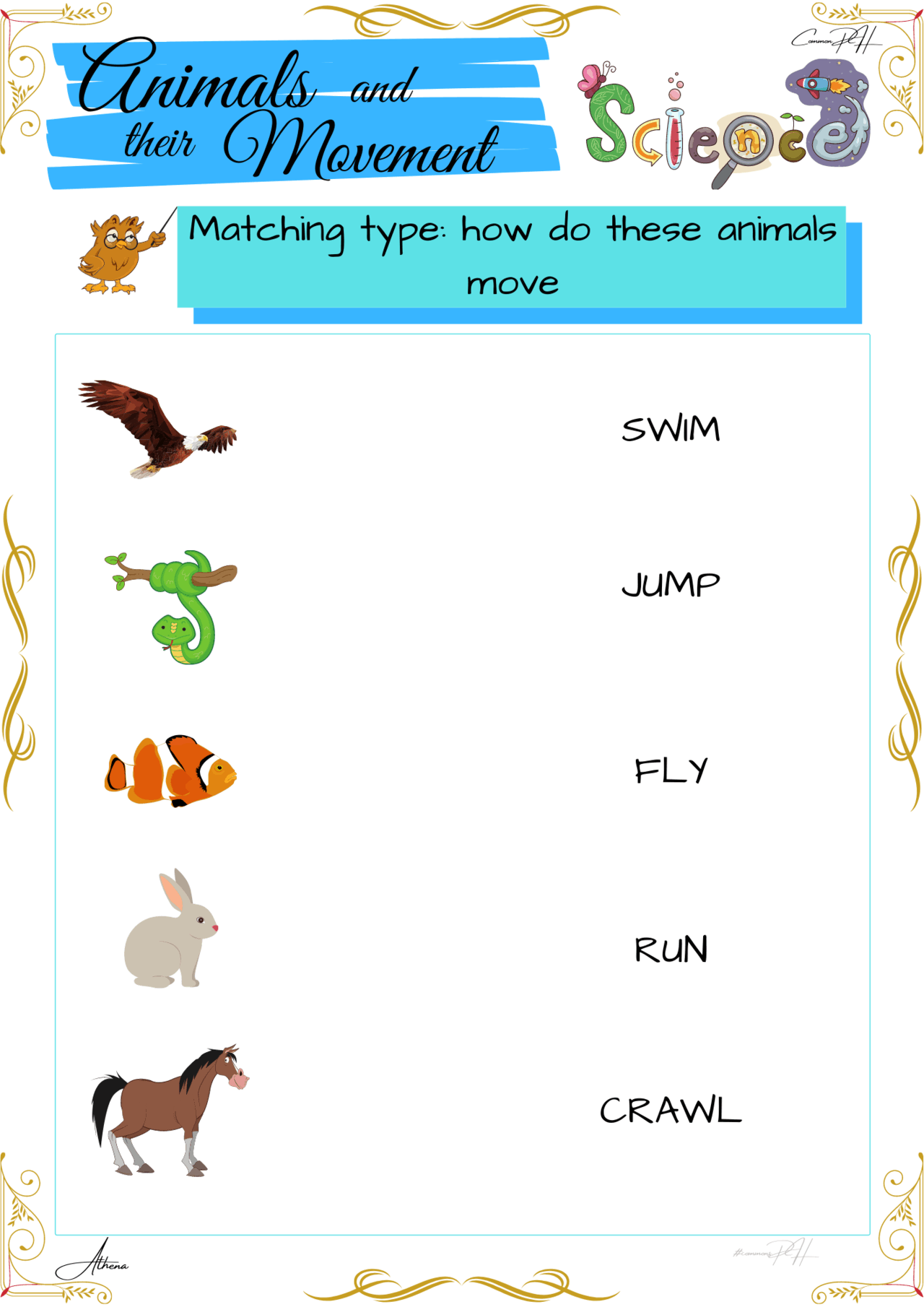 Free Worksheets For Science Grade 1 Scienceworksheets
