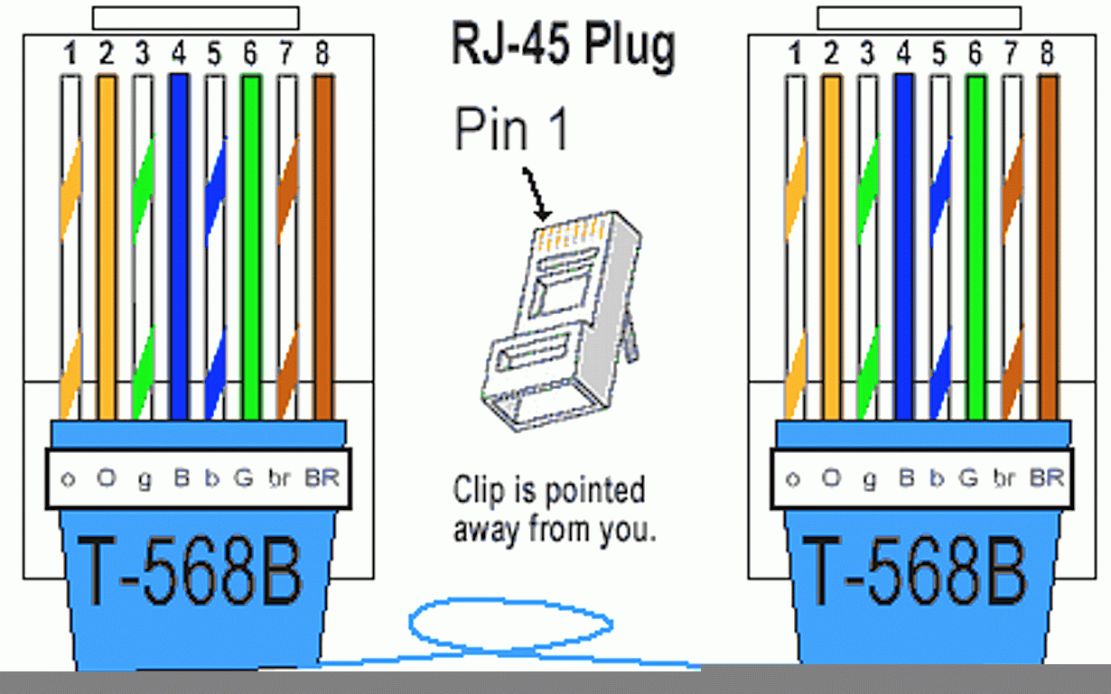 Great Ethernet Cable Wiring Diagram How To Make An Network With 