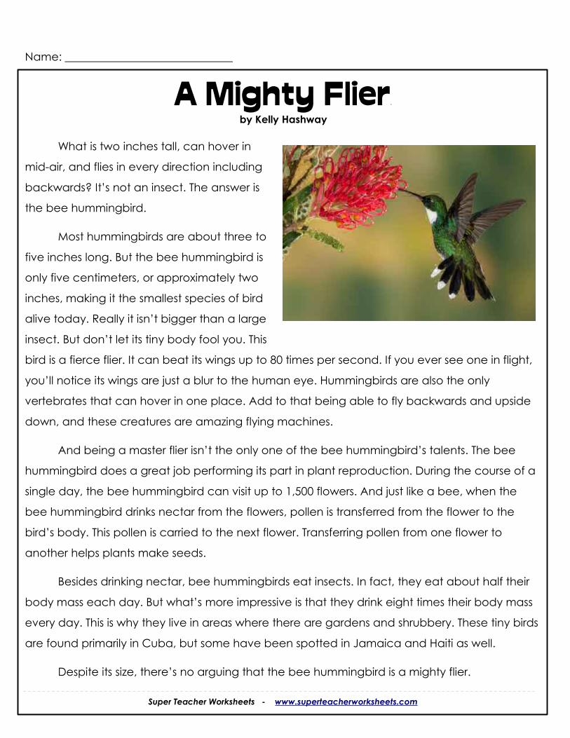 Homeschool Printables From SuperTeacherWorksheets Quiet In 