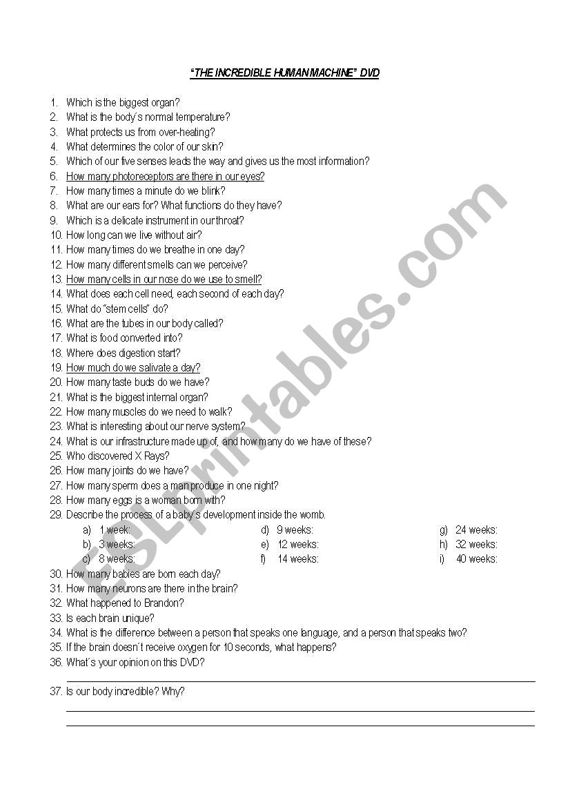 Incredible Measurements Worksheet Answers Printable Calendars AT A GLANCE