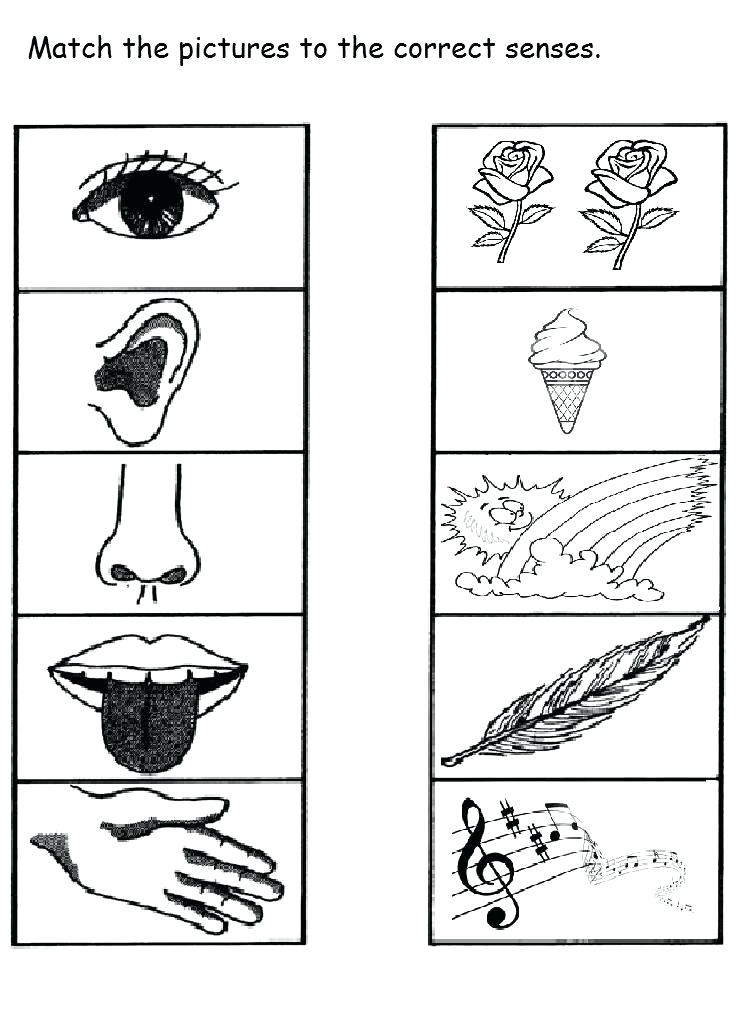 Kindergarten Activities Sheets