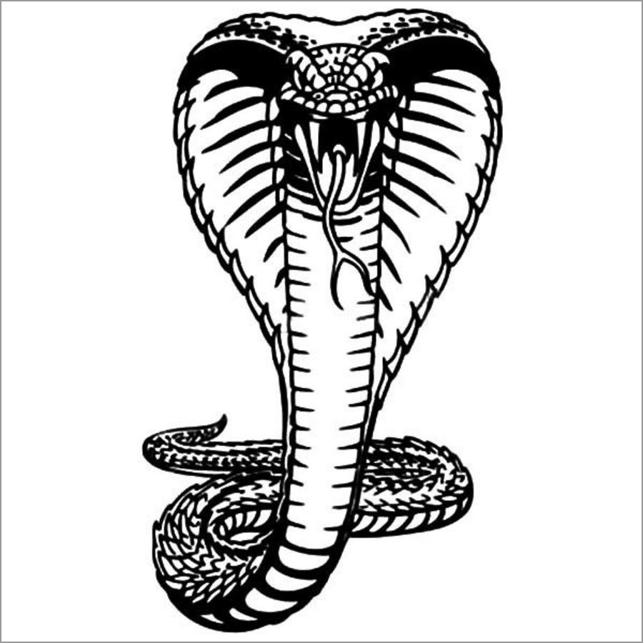 King Cobra Snake Coloring Page ColoringBay