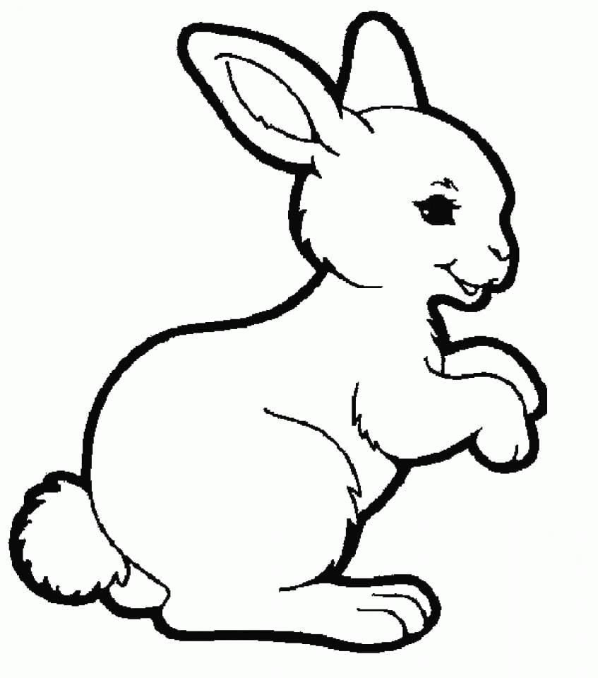 Lapland Rabbit Bunny Coloring Pages For Kids