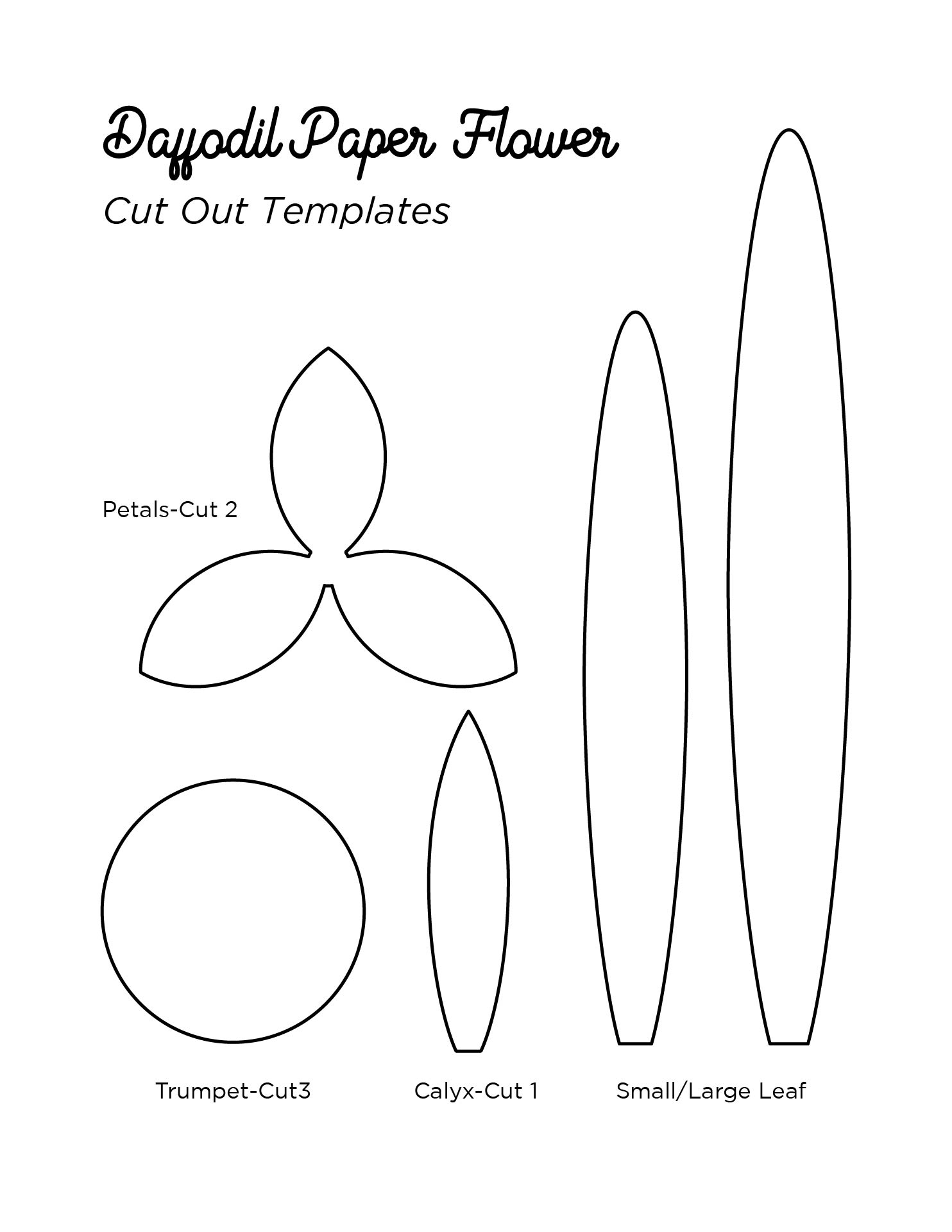 Lily Flower Template Printable Best Flower Site