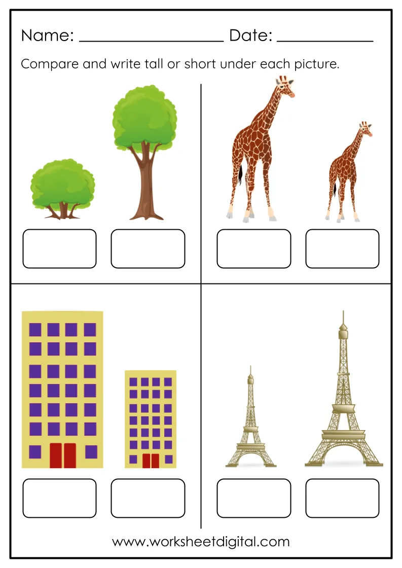 LKG Tall And Short Worksheet PDF Worksheets Library