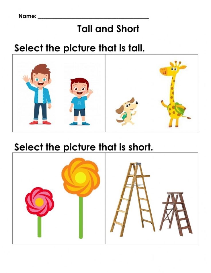 Maths Concepts Tall And Short Worksheet Math Concepts Fun