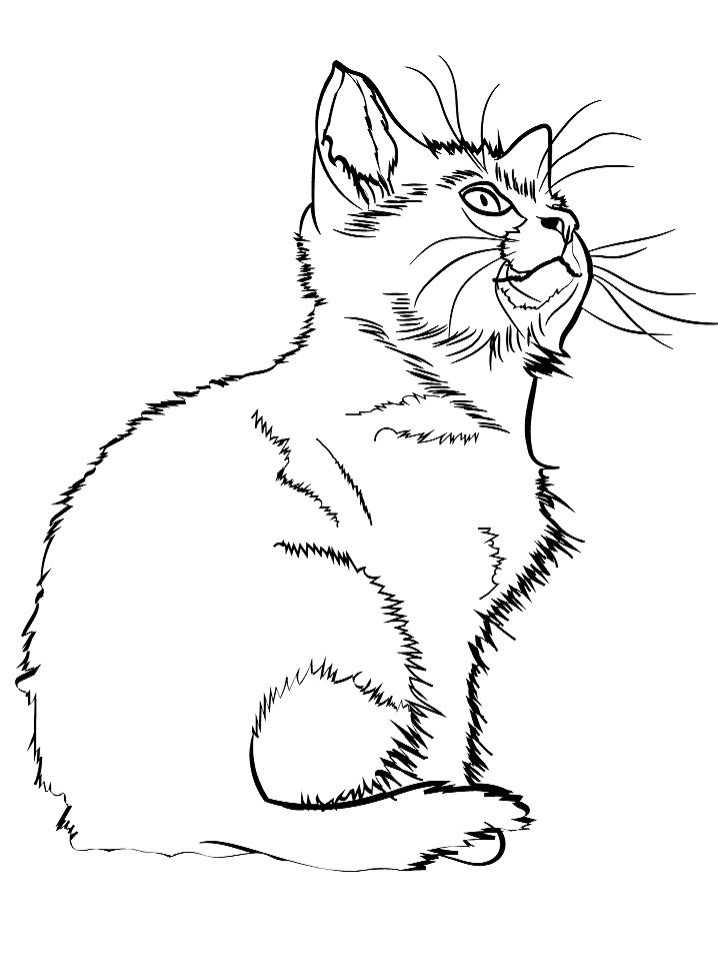 Meowing Kitten Coloring Page Free Printable Coloring Pages For Kids