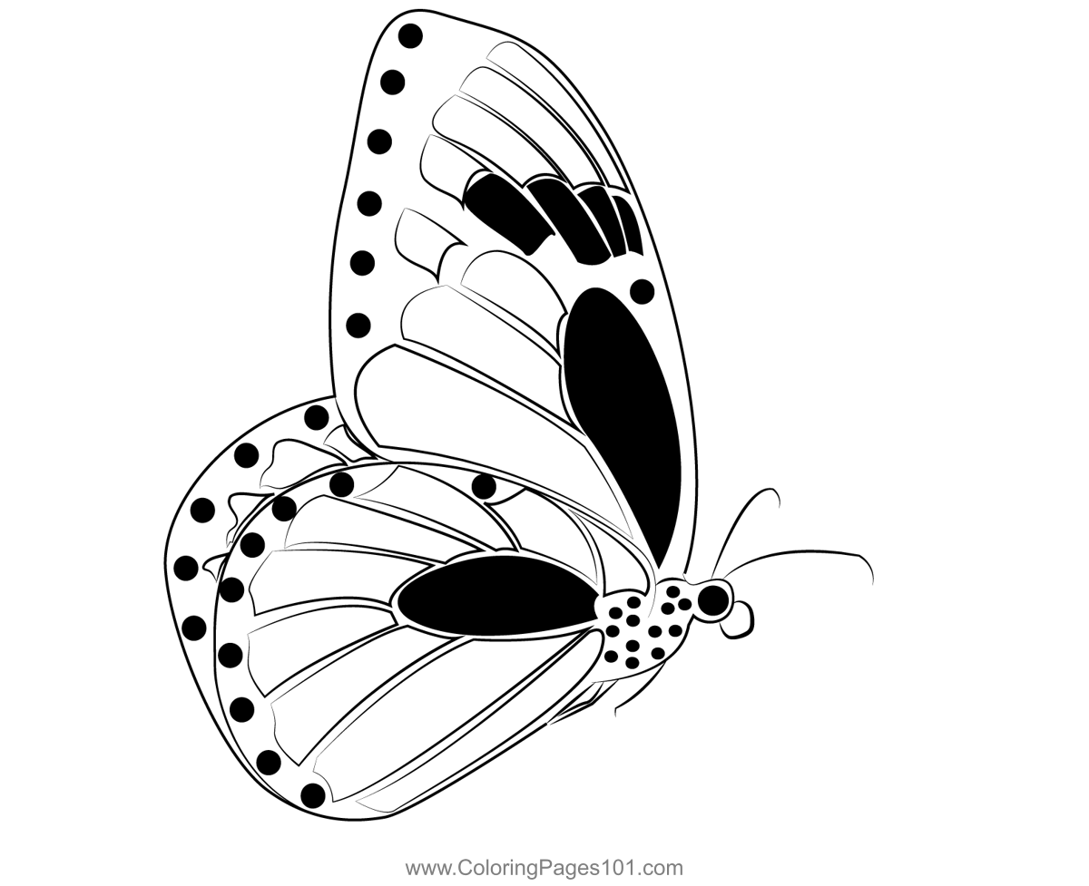 Monarch Butterflies Flying Coloring Page For Kids Free Butterflies