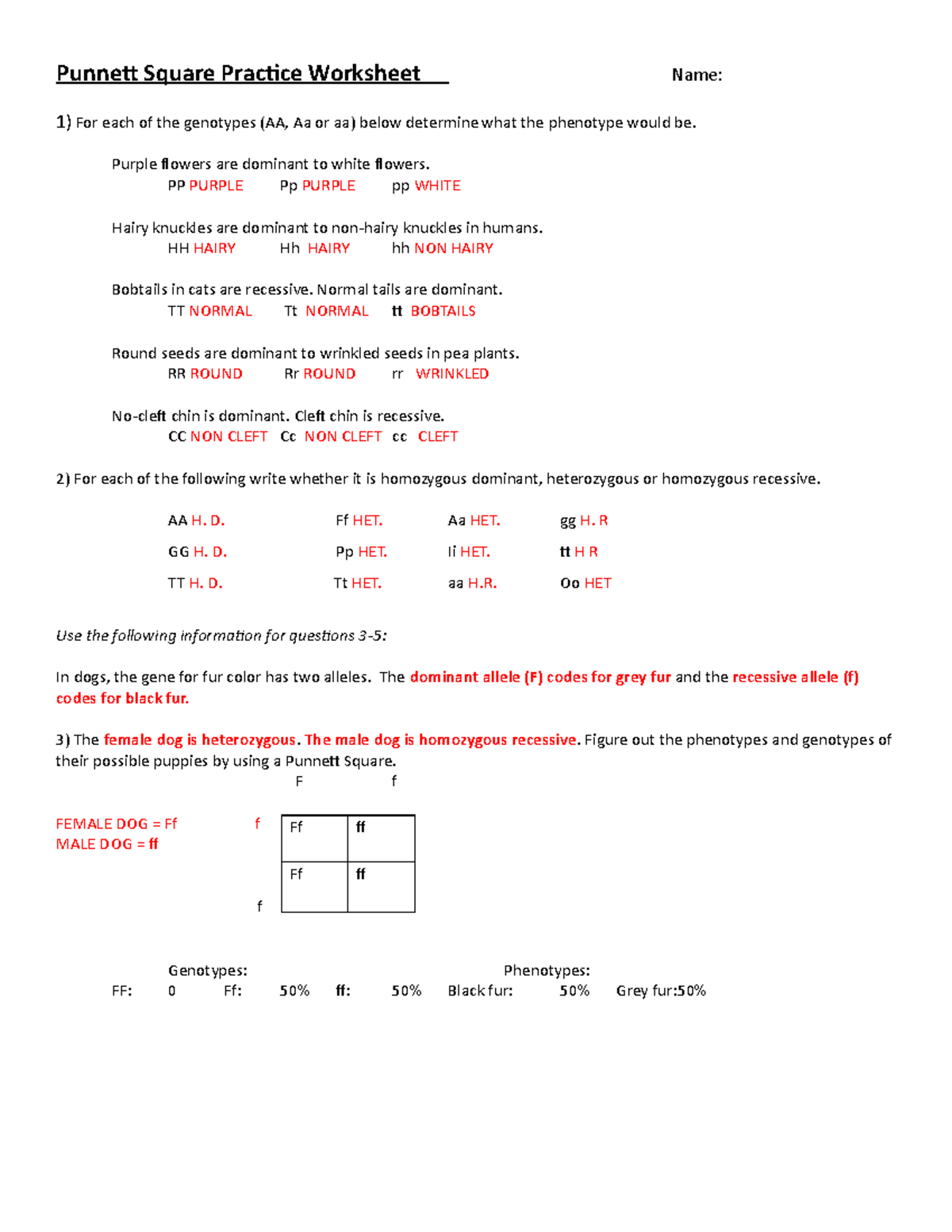 Punnett Squares Practice Worksheets