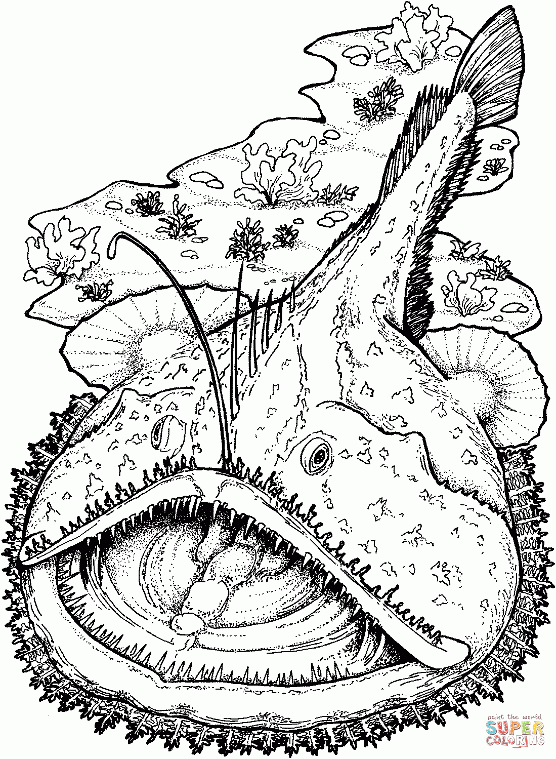 Sea Fish Coloring Pages Coloring Home