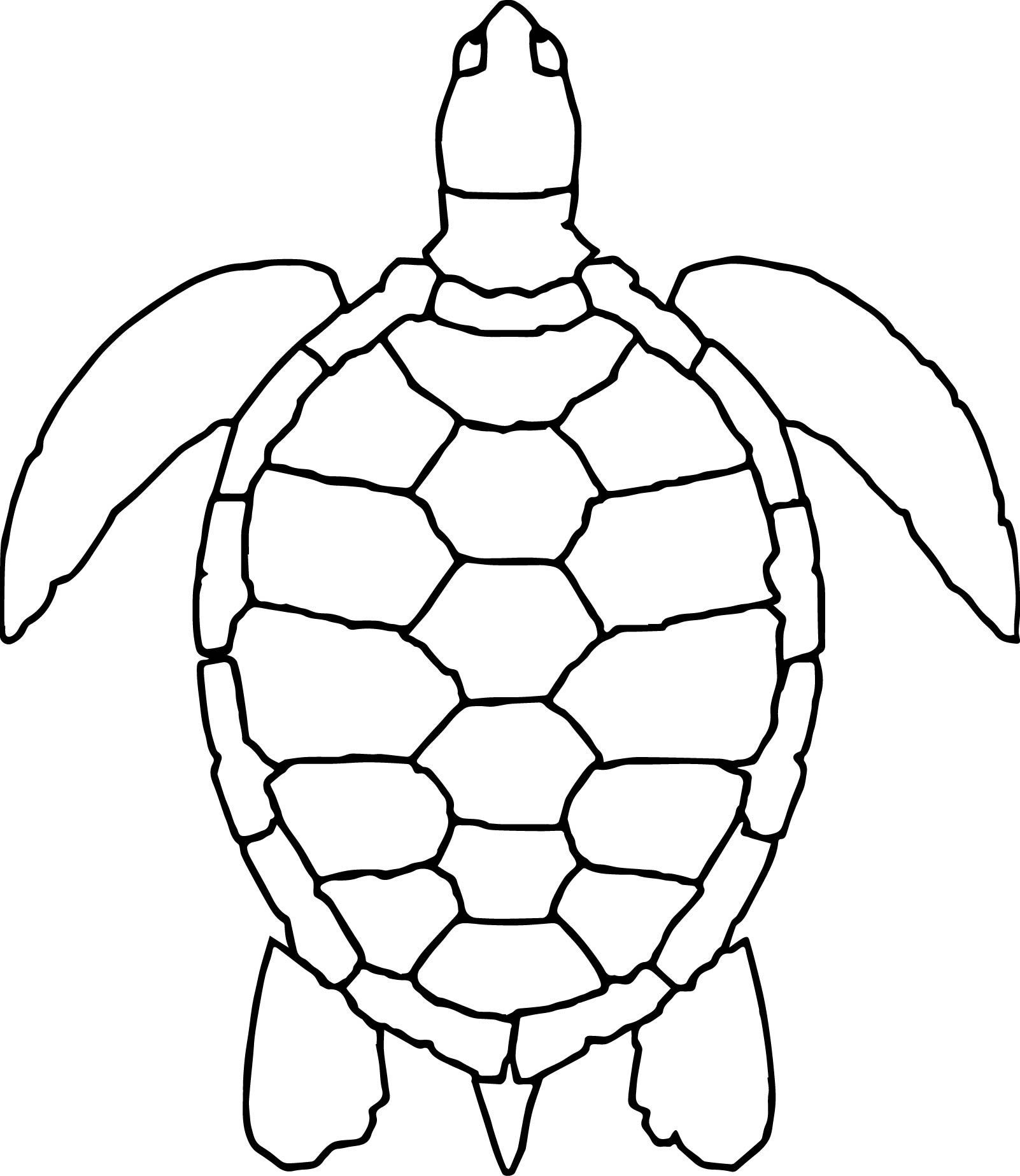 Sea Turtle Printable Coloring Pages