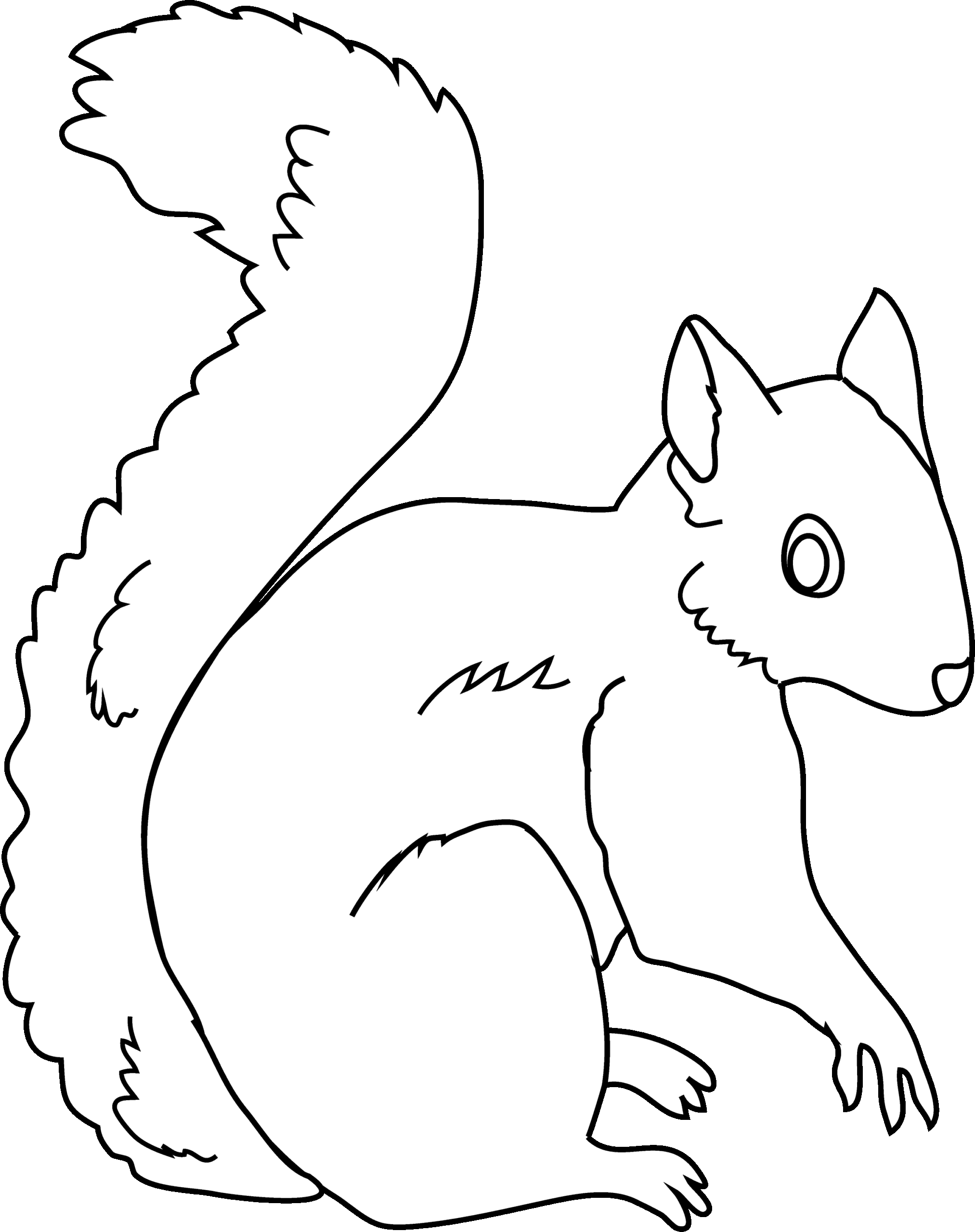 Squirrel Coloring Page Free Clip Art
