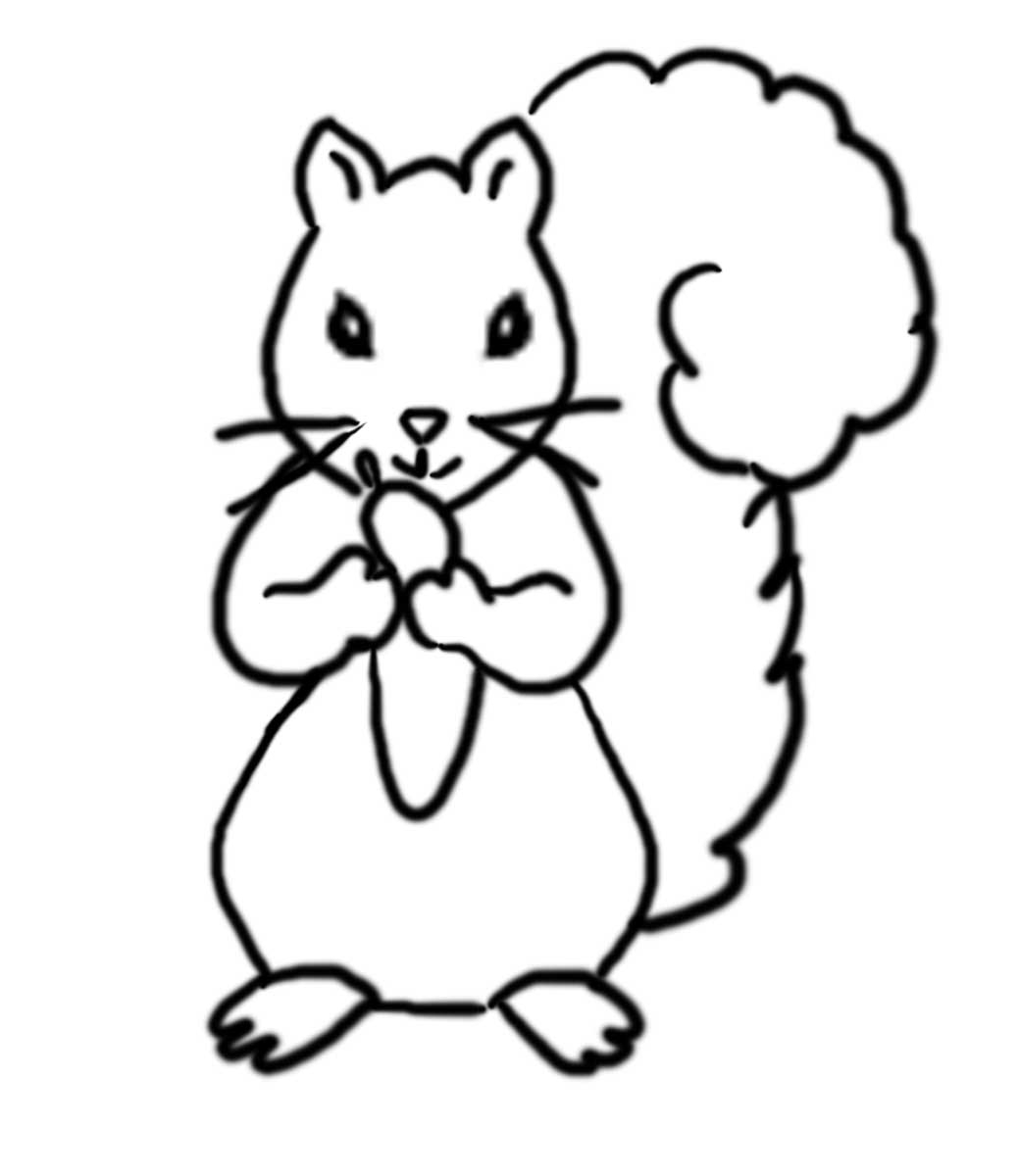 Squirrel Outline Coloring Page Coloring Pages